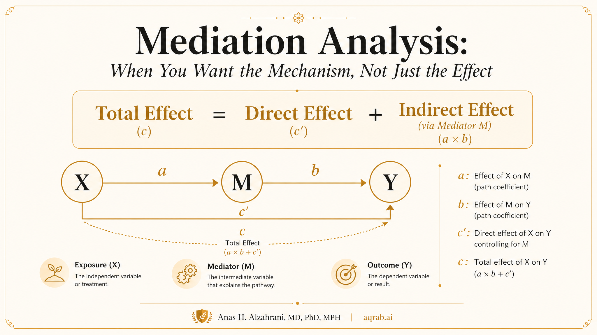 Infographic: Mediation Analysis: When You Want the Mechanism, Not Just the Effect