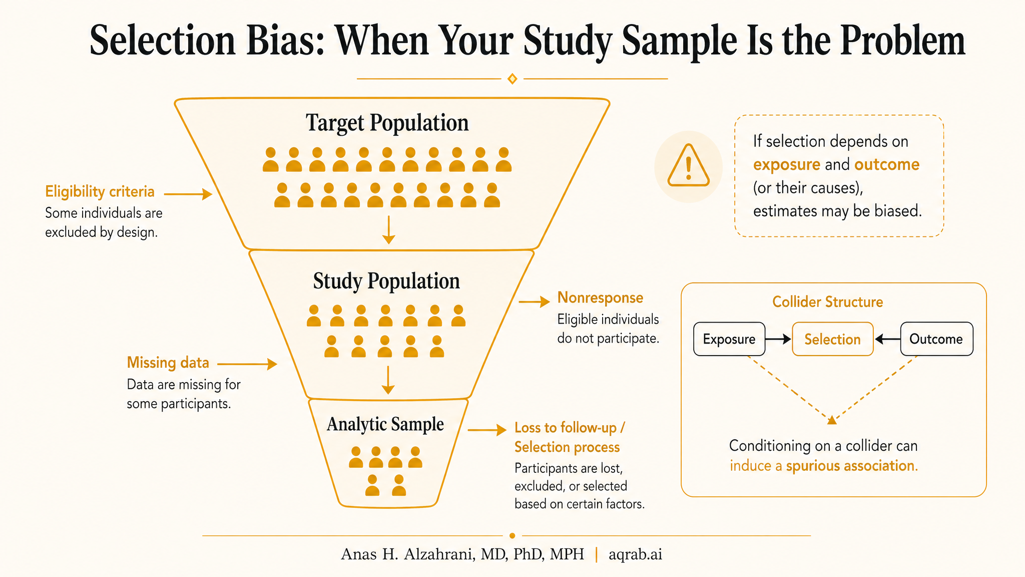 Infographic: Selection Bias: When Your Study Sample Is the Problem